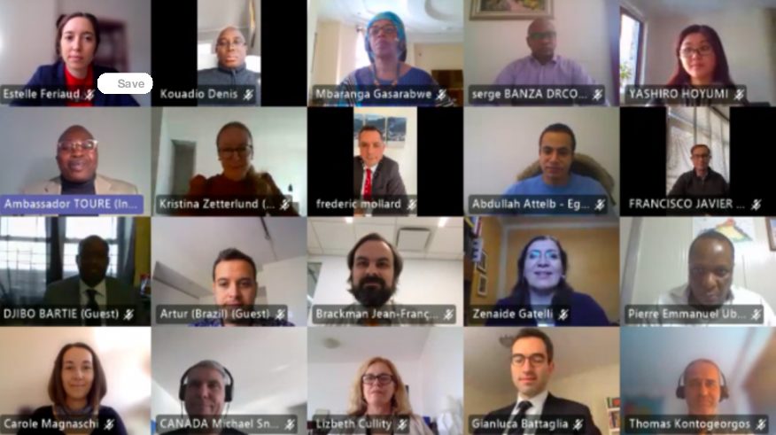 Group of Friends of DDR meets on Central African Republic & Mali _ iSeek