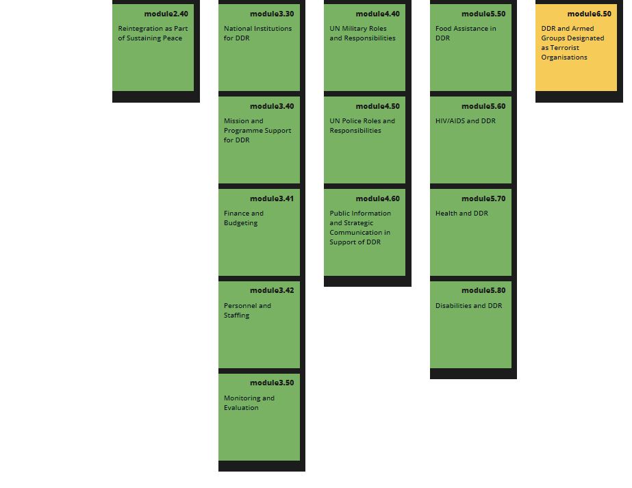 IDDRS modules part 2