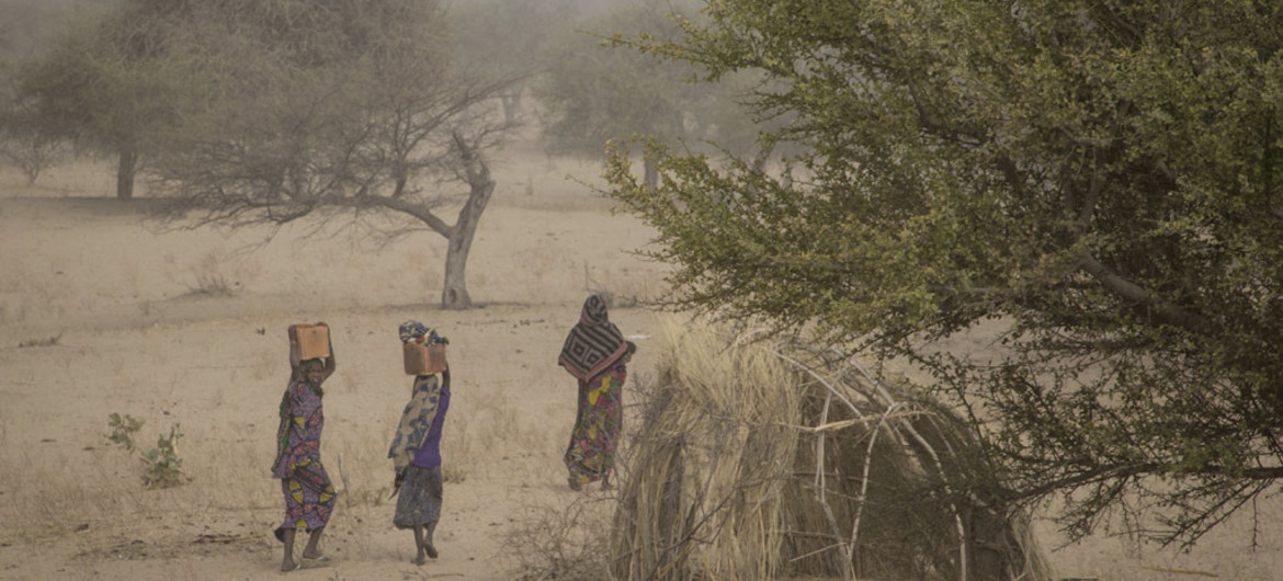 Lake chad basin 3 - pic on UN website Lake Chad Basin